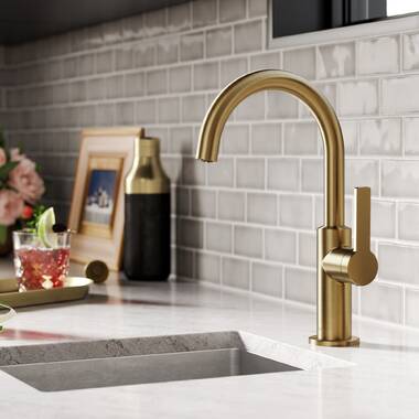 Elkay Explore Bar Faucet & Reviews | Wayfair